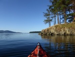 Exploring Cypress Head