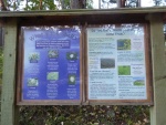 Information on Cypress Head