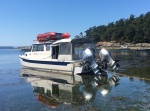 in the mud at shallow bay