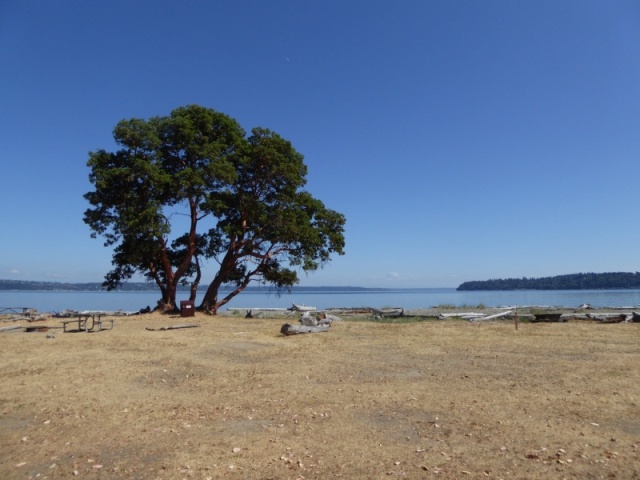 Looking north from the campground at Blake Island