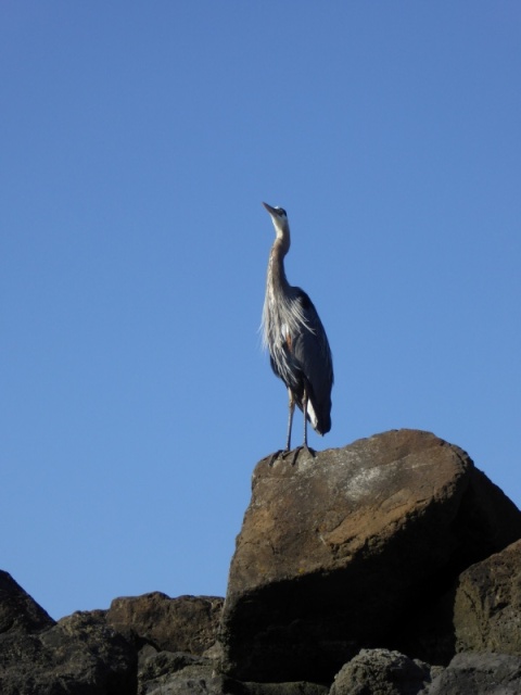 At the entrance to the marina