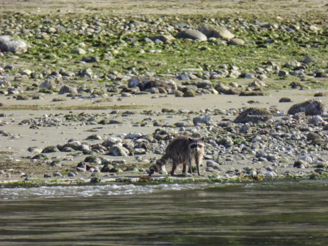 On the north beach 