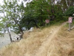 Trail leading up from the south side beach