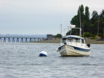 22 Angler at south end of Bainbridge Island