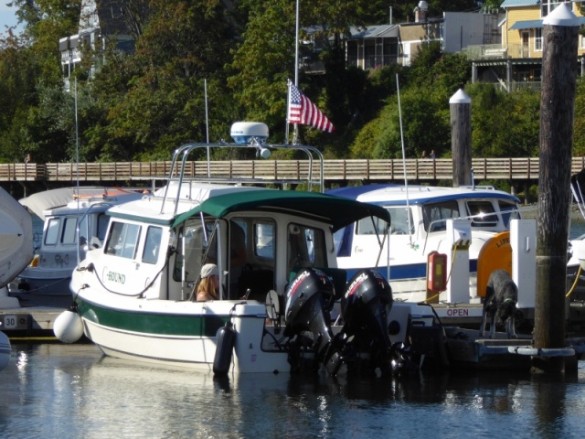 That's a good looking bunch of boats over there...