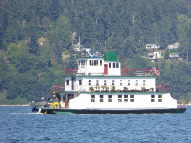 An old ferry made into a house boat? Or river boat with paddle wheel removed?  It was heading south at about 2 kts under what sounded like 2 stroke outboard power, although I couldn't spot the source of the engine noise.