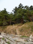 Steps leading from the south beach up to the island