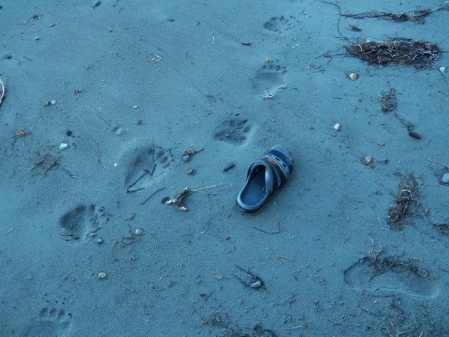 We weren't the first ones on the beach that morning.