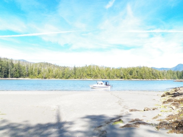 We continued north to Columbia Cove on the Brooks Peninsula, used twice by Captain Gray in 1791.  Probably a great anchorage for a large sailing vessel.  Nothing special for us.  In fact it was our windiest anchorage (other than Volcanic Cove before we decided to move).