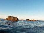 There was enough swell out at the islets that it was difficult to get the horizon correct in my photos.  Lots of otters much closer to the boat than at Quatsino.