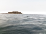 We headed back out to the outlying islets where the air was clear.  Time for some more fishing.  We had already caught a couple ling cod returning from the Brooks Peninsula.