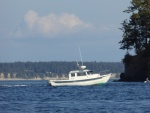 Saw this 22 Cruiser heading towards fuel dock as I was heading in from kayaking. It has the rare sliding rear window.