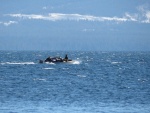 Photo by Kevin.  A couple out on the lake testing their luck on a very heavy loaded open 16 footer.  No life jackets to be seen.