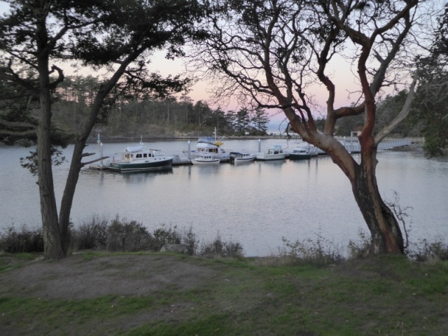 Sunrise over at Dock 2. Big boat on end of dock is from San Francisco. Harvey knows more about their story.