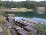 Exploring the original foundations from the Harnden family in the 1920s over in mud bay