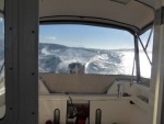 Approaching Rosario Strait from Guemes / Bellingham Channels.  Turned around shortly after entering Rosario Strait due to 3-4' whitecaps coming from the North, which is the direction I wanted to go. Turns out there was a SCA until 6 PM!