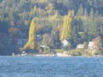 Looking across to Olga. Only upon magnifying the image later did I notice the 25 Cruiser at the dock.