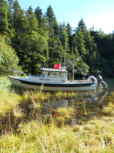 Eshamy Lagoon, PWS (2009)