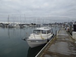 Gate 12 visitor dock in Squalicum Harbor