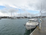 Heading out to walk around the marina Wednesday afternoon