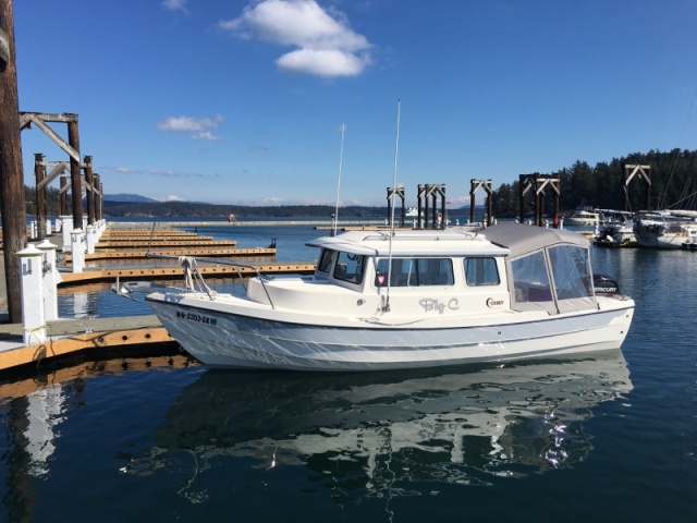 Updated H and G docks at Friday Harbor, with new power and new cleats