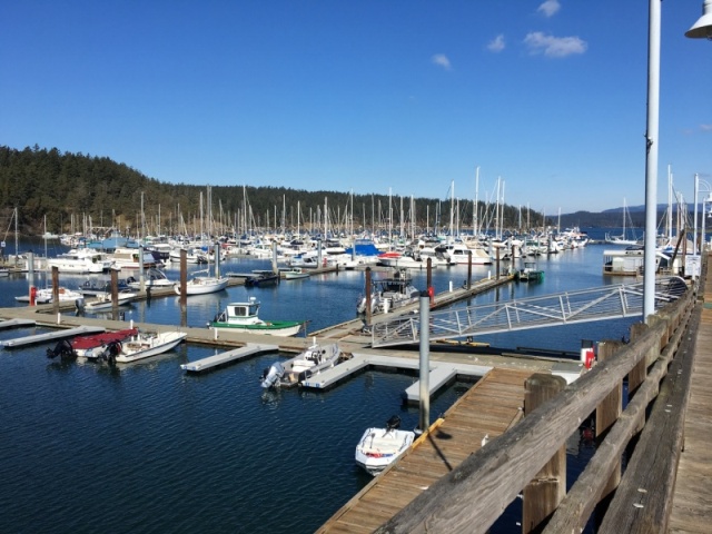 A quiet Friday Harbor in early March
