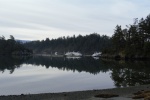 Setting out on a hike, around Mud Bay and out to Wiggins Point