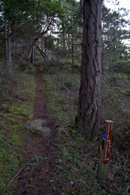 Trail to Snoring Bay, to get to Wiggins Point