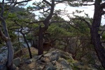 Nearing the end of the trail at Wiggins Point. Its a bit of a scramble to get down and back up.