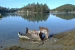 A rusing can in Mud Bay