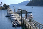 Fossil Bay dock early afternoon on a Saturday, still a couple of spots available.