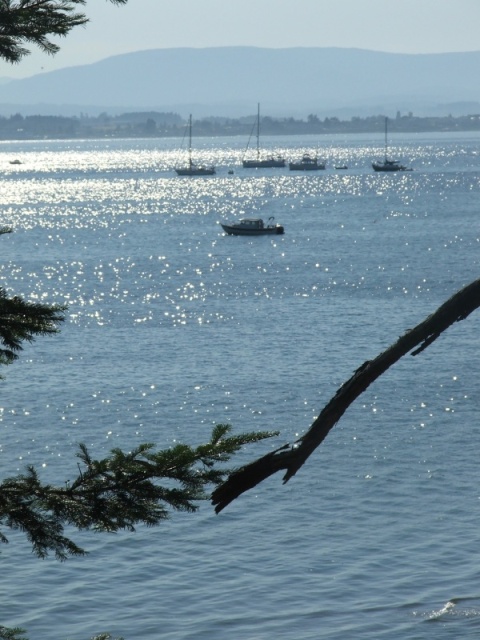 C-Dancer anchored at Sidney Spit