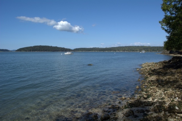 Walking along the shore at low tide