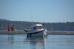 Agostino entering the harbor