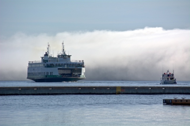 Thick fog rolled in on Saturday morning for a bit.