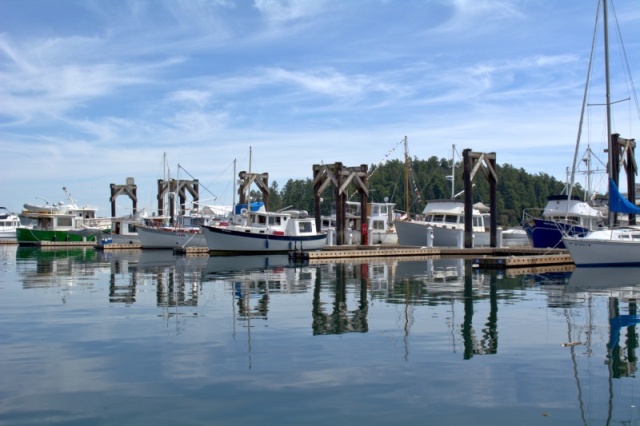 Some of the other Willards on G-dock on Saturday afternoon.