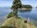 Sucia, Fossil Bay.  Great place to just hang out