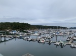 Friday Harbor