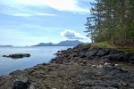 Exploring the shores at low tide