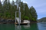 Doe Island dock, Saturday afternoon, May 4th