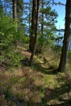 The trail around the south end of the island, Sunday May 5th