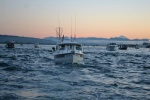 Going out salmon fishing in September