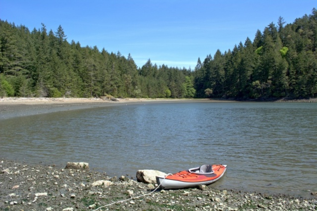 Looking over towards the beach in Eagle Harbor, which is muddy at low tide