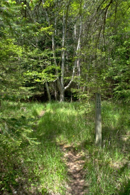 Duck lake trail, hidden back behind the shrubs, if not for the sign I would hav missed it.