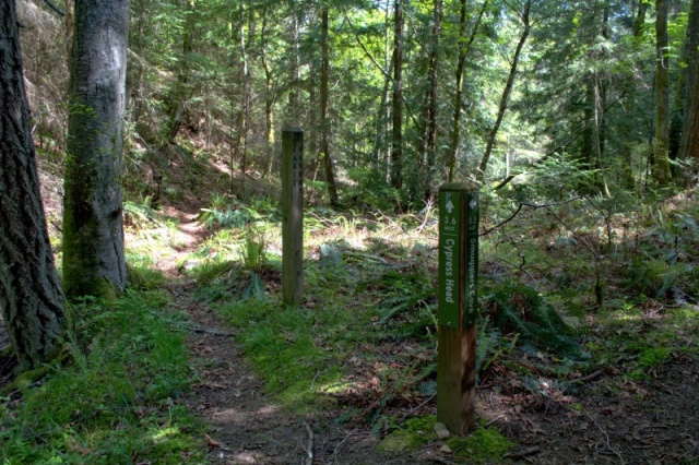 After a relatively easy climb you reach a junction in the trail. But no sign to Duck Lake?