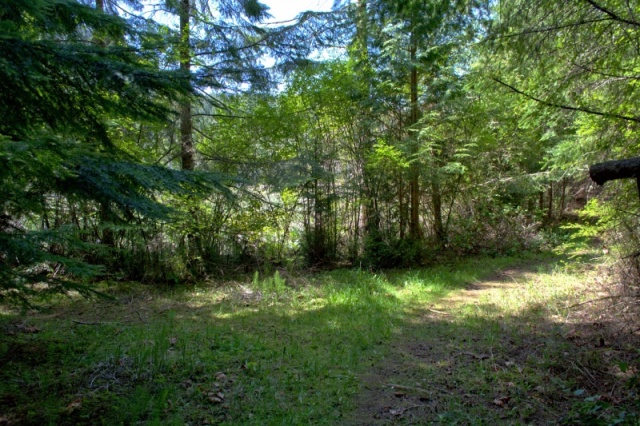 I must have chosen the right trail, appears to be a lake up ahead.