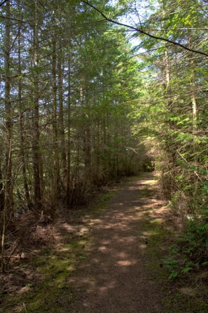 Trail along east side of lake heading north. At least a dozen different types of birds singing loudly along this trail, it was a bit surreal.