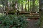 An old log cabin. Can't help but wonder about the history