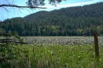 View on north side of Duck Lake from Smugglers Cove trail