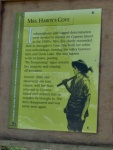 I love history on San Juan islands. This sad story is not unlike many others. I wonder if that cabin up at Duck Lake was hers.